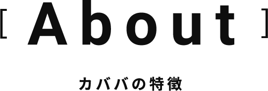 ABOUT