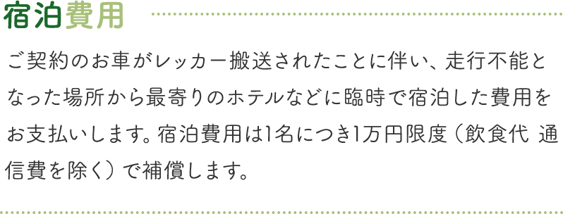 カババ保険