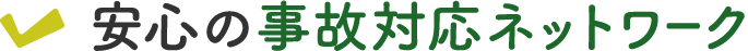 カババ保険