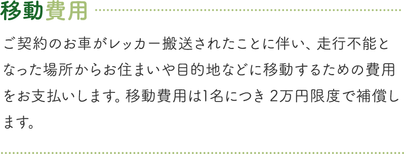 カババ保険