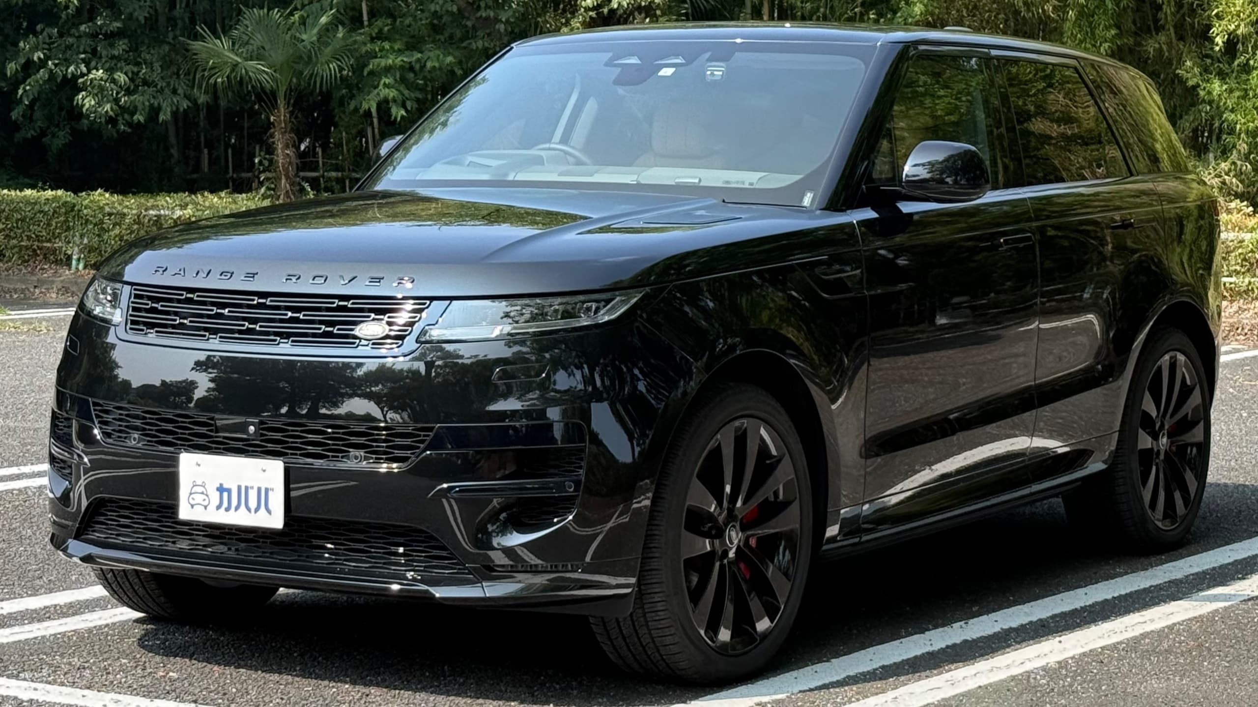 ダイナミック HSE D300