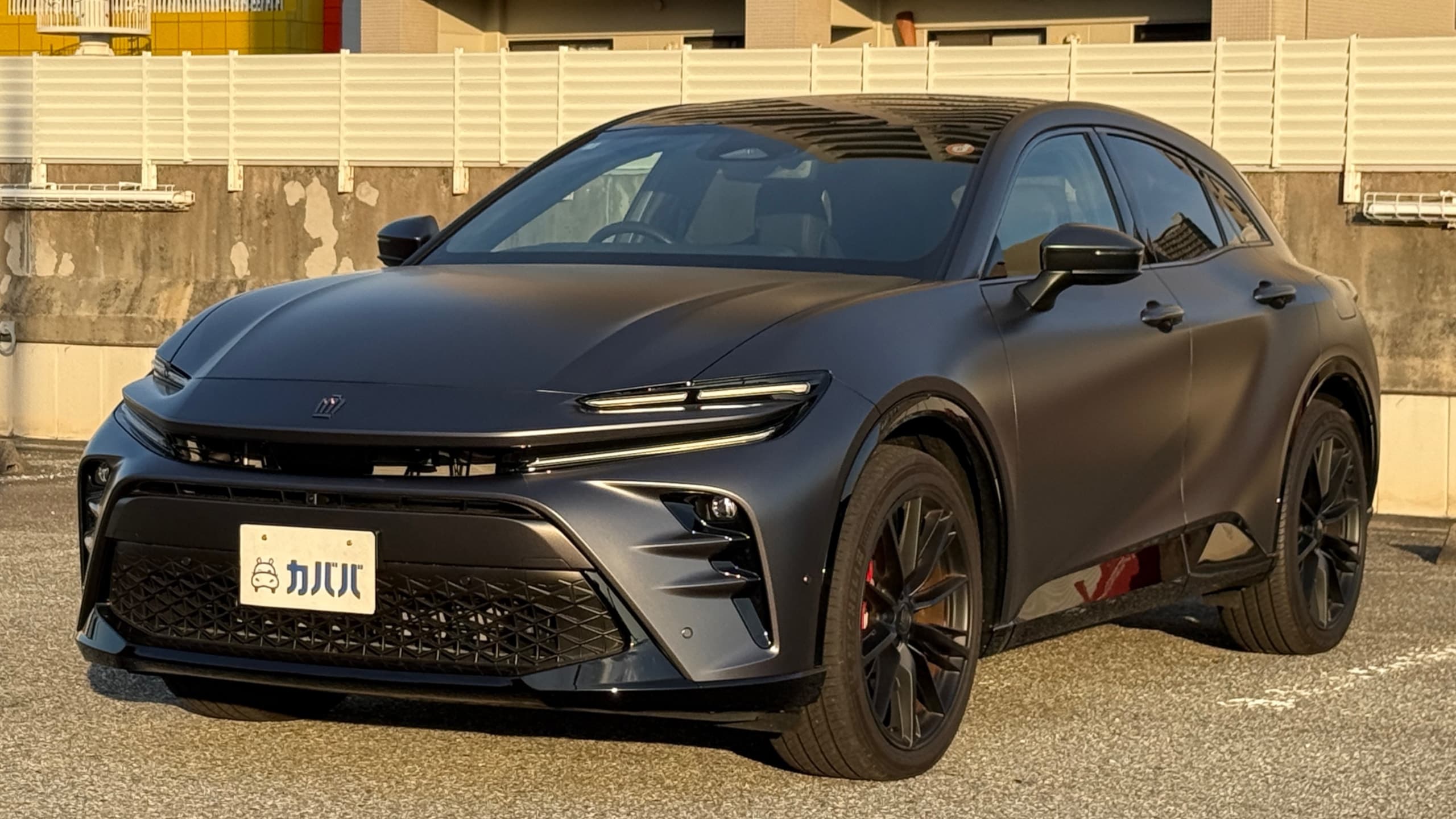 RS ザ リミテッド マットメタル